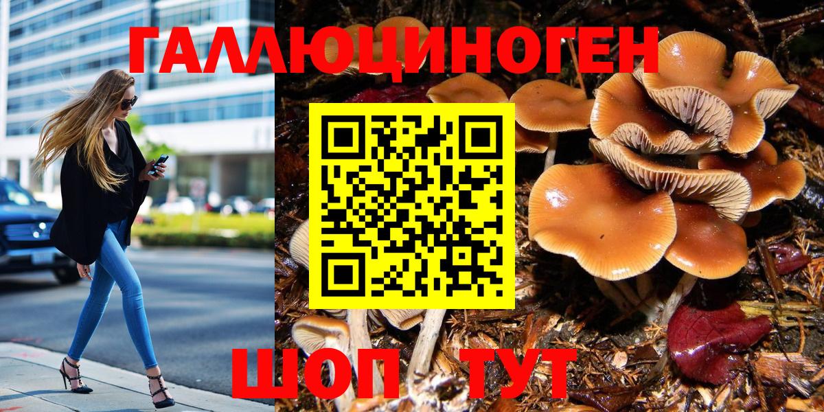Псилоцибиновые грибы GOLDEN TEACHER Балашов
